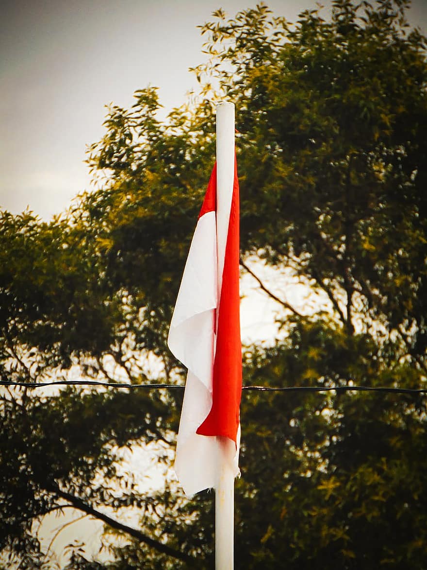 прапор, Індонезія, Індонезійський прапор, країна