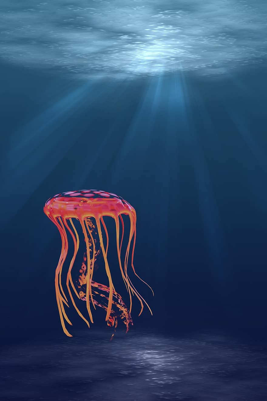 медуза, под вода, море, океан, водната, вода, морски, животно, пипала, екзотичен, дивата природа