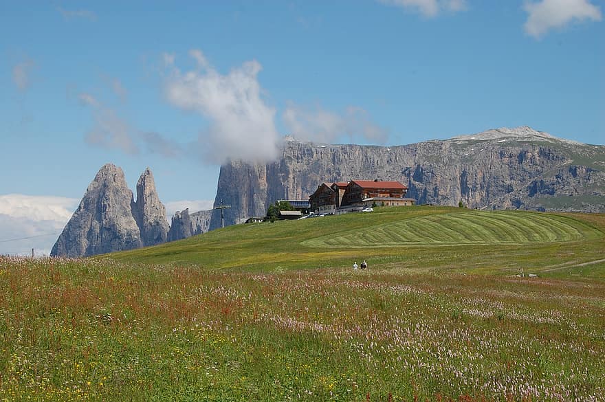 alpe di siusi, prado alpino, Alpes, Italia, montañas, paisaje, naturaleza, prado, montaña, hierba, escena rural