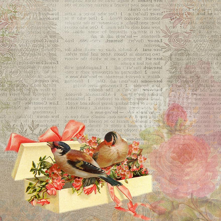 tło, zabytkowe, ptaki, prezent, łuk, pudełko, kwiat, różowy, ślub, romantyk, papier