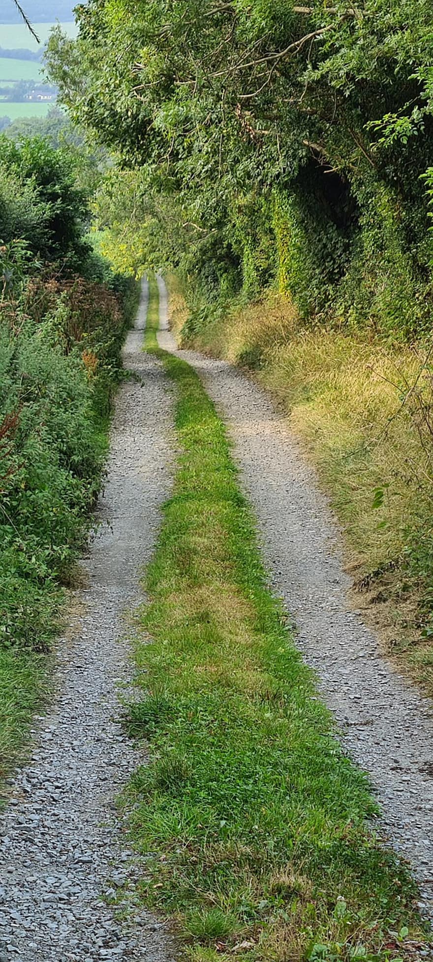 Дорога, трек, след, природа, пейзаж, дорожка, Ирландия