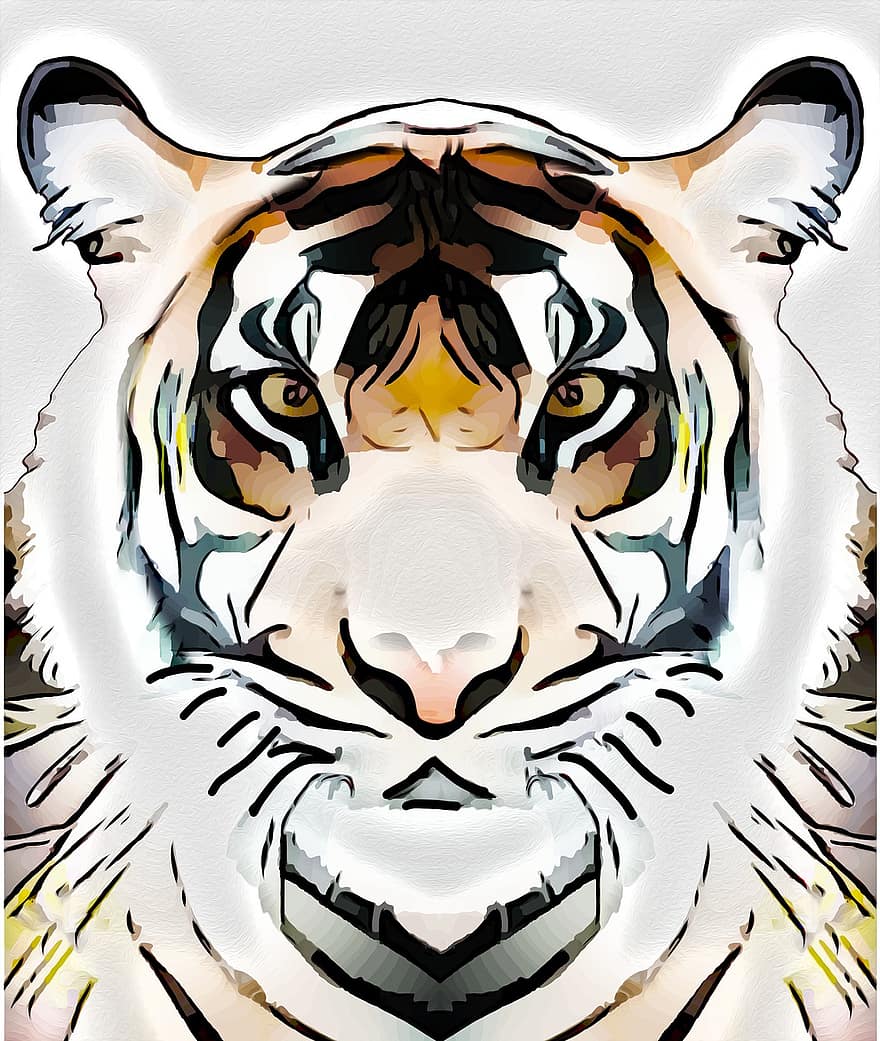 tigre, gatto, predatore, pericoloso, animale, natura, mammifero, selvaggio, zoo, felino, gattopardo