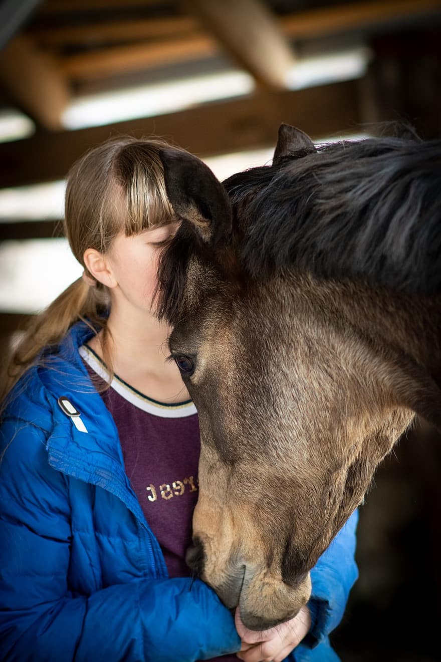 at, kız, öpmek, çocuk, Aşk, midilli, kahverengi at, hayvan, memeli, bağlantılılık, bağ