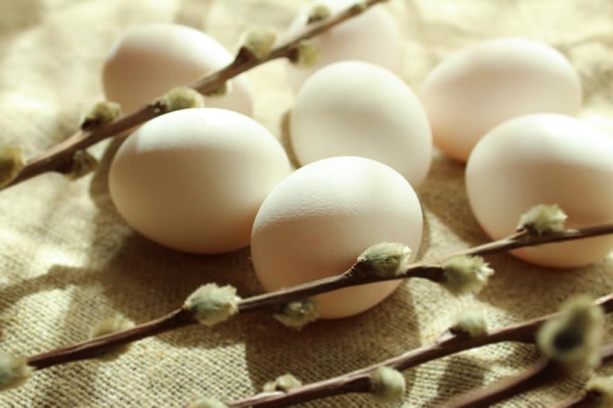 des œufs, coquilles d'oeufs, protéine, Pâques, fleurs, fermer, aliments, oeuf animal, printemps, décoration, fête