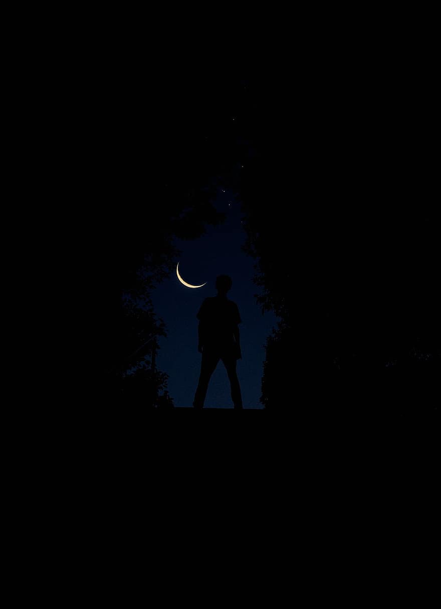 мъж, луна, небе, нощ, дърво, природа, силует, гора, хора, тъмен, подсветка