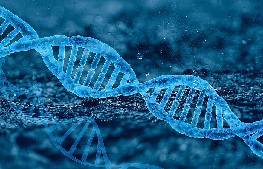 डीएनए, आनुवंशिकी, अणु, जीवविज्ञान, विज्ञान, जीन, जैव प्रौद्योगिकी, कुंडलित वक्रता, क्रमागत उन्नति