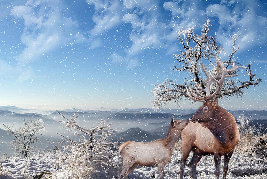 Elk, Snow, Trees, Forest, Nature, Fantasy, Landscape