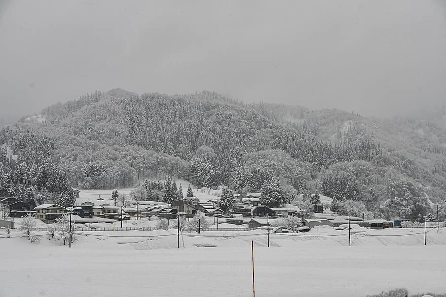 околност, сняг, сезон, satoyama, зима, Япония, планина, пейзаж, Ски писта, гора, спорт
