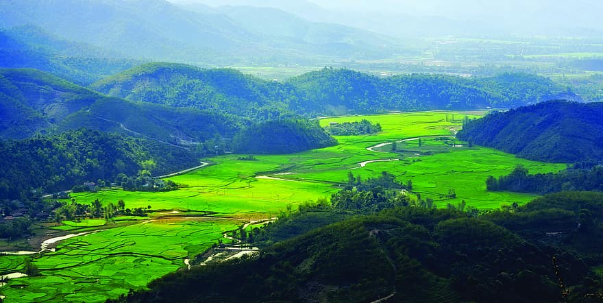 рисові поля, природи, В'єтнам, гори, поля, сільській місцевості, краєвид, ферми, сільський, гірський, сільська сцена