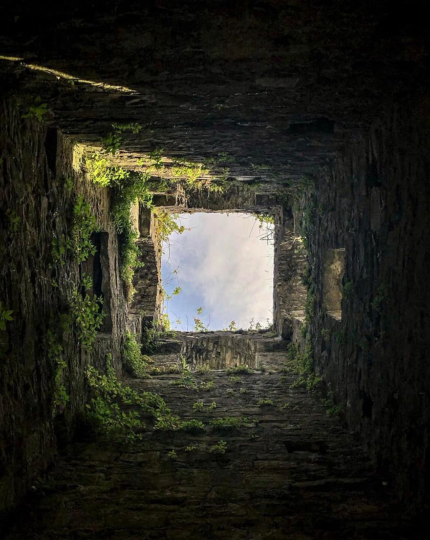 túnel, hiedra, plantas, Borg, Irlanda, antiguo, arquitectura, vieja ruina, ladrillo, arruinado, pared