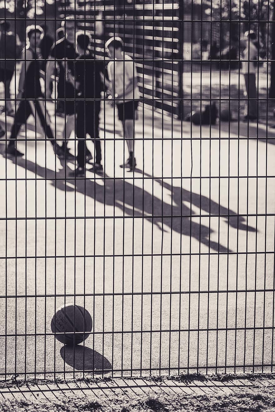 Spor Dalları, Basketbol, Eğitim, top, boş zaman, hareket, erkekler, yürüme, siyah ve beyaz, yetişkin, şehir hayatı