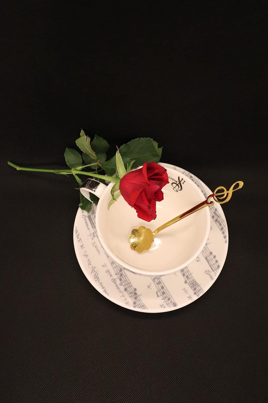 τριαντάφυλλο, ποτό, φλιτζάνι, κουτάλι, Χρυσό κουτάλι, γκρο πλαν, λουλούδι, φύλλο, μεμονωμένο αντικείμενο, τραπέζι, υπόβαθρα