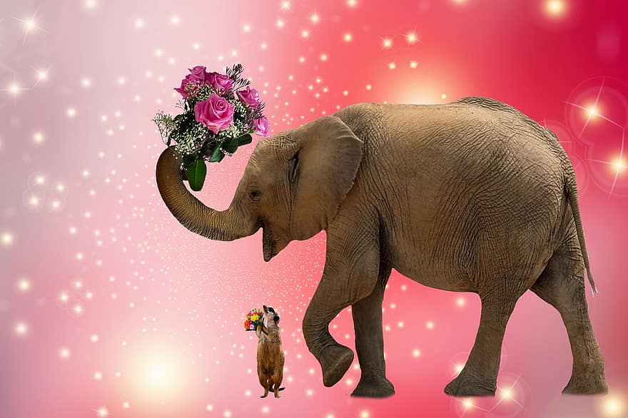 emocijos, meilė, Valentino diena, Motinos diena, atvirukas, rožės, gėlių puokštė, dramblys