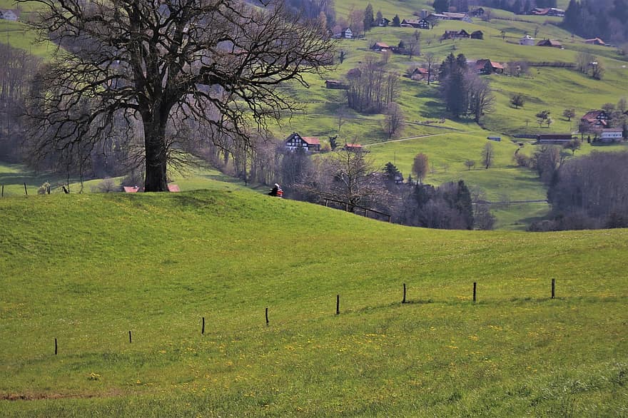 Hügel, einsamer Baum, grünes Feld, Bergdorf, das Tal der, Weideland, ländliche Gebiete, die idylle, frische Luft, die Hütte in den Bergen, Stadt