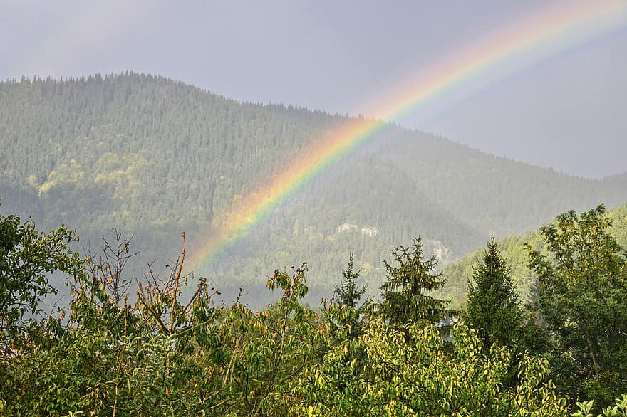 arcobaleno, montagna, natura