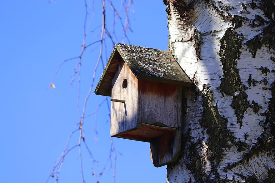 fugl hus, fugl feeder, træ, nesting kasse, voliere, naturbeskyttelse, ly, birk, race, rede, dyrevelfærd