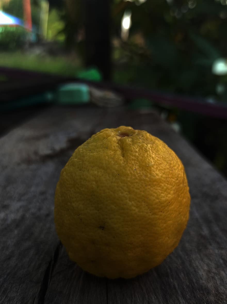 лимон, фрукты, питание, свежий, здоровый, созревший, органический, милая, свежесть, Цитрусовый фрукт, желтый