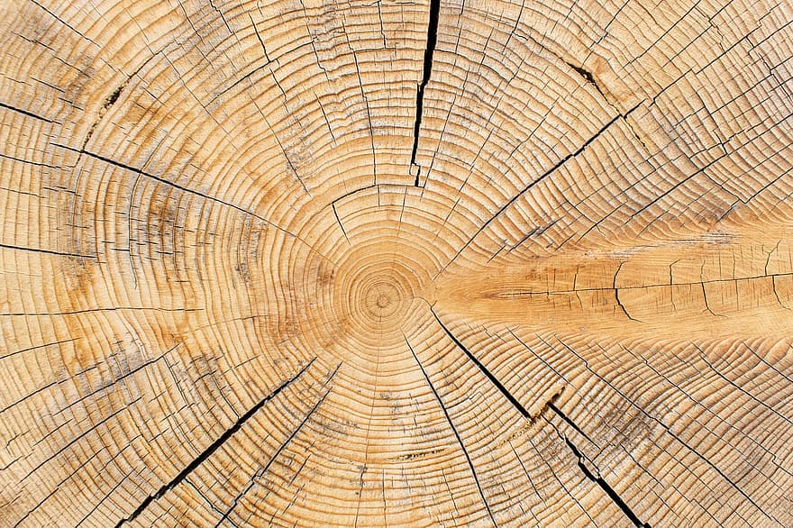 lemn, inele anuale, inele de copac, copac, de lemn, textură