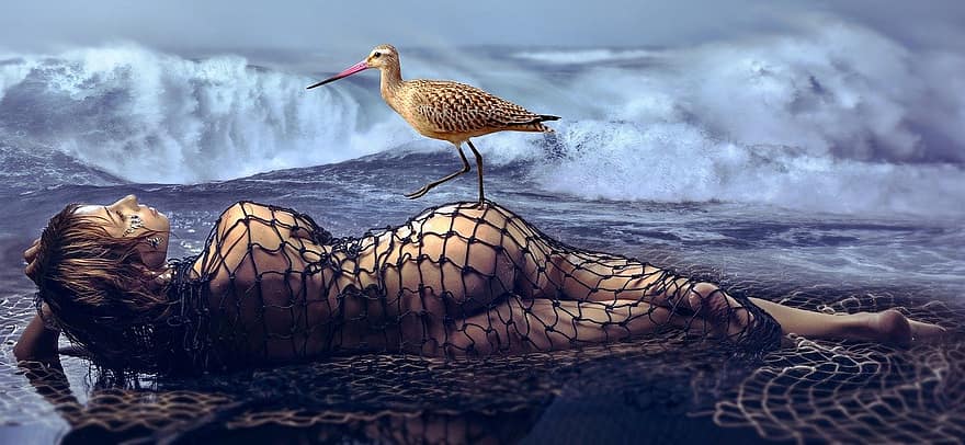 дівчина, море, води, птах, природи, веб, хвилі, Пляжний, фантастичний, загадковий, настрій