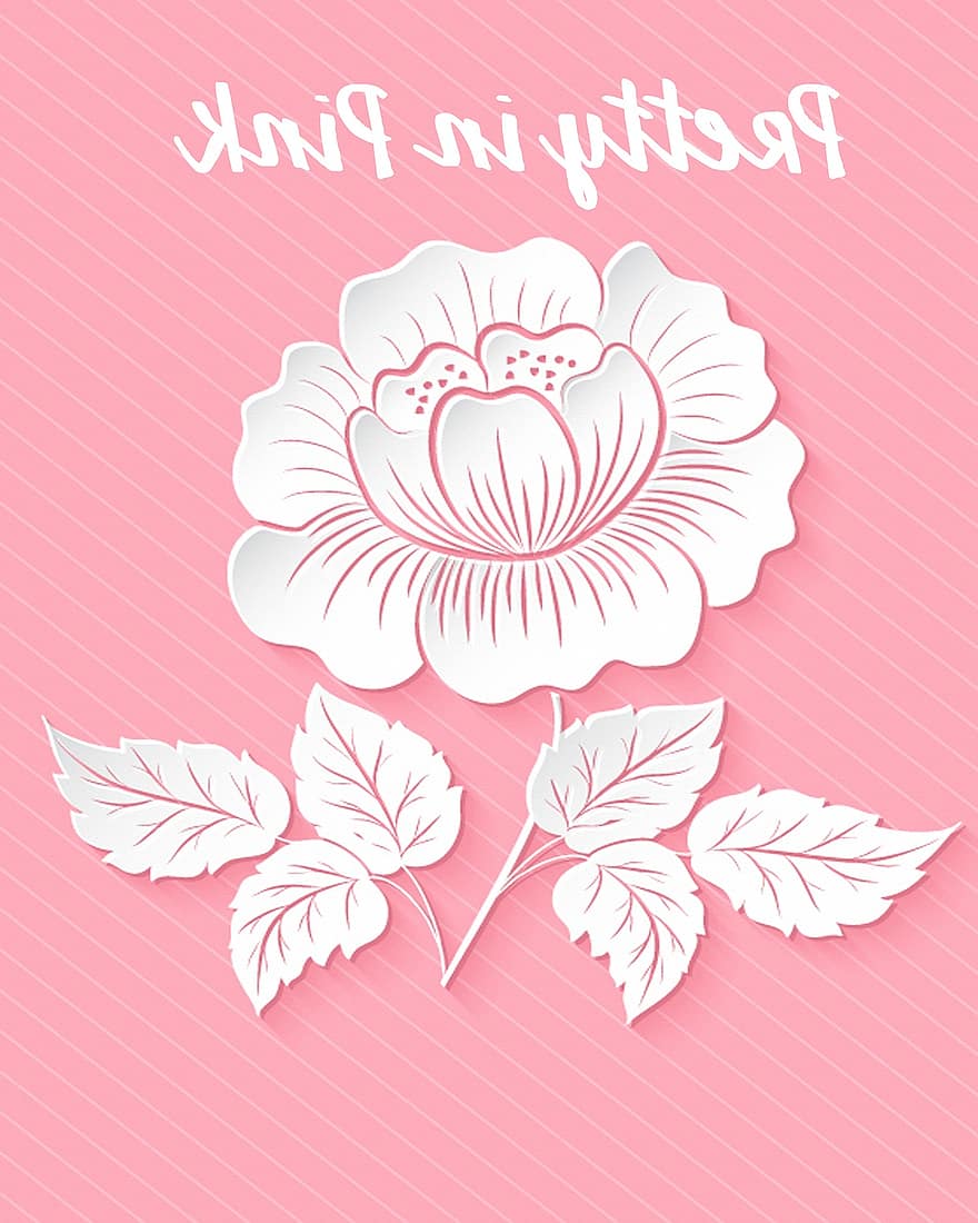 Trandafir roz, drăguț în roz, hârtia a crescut, roz, Poza fetei, Photoshop, floare, dragoste, romantic, epocă, nuntă