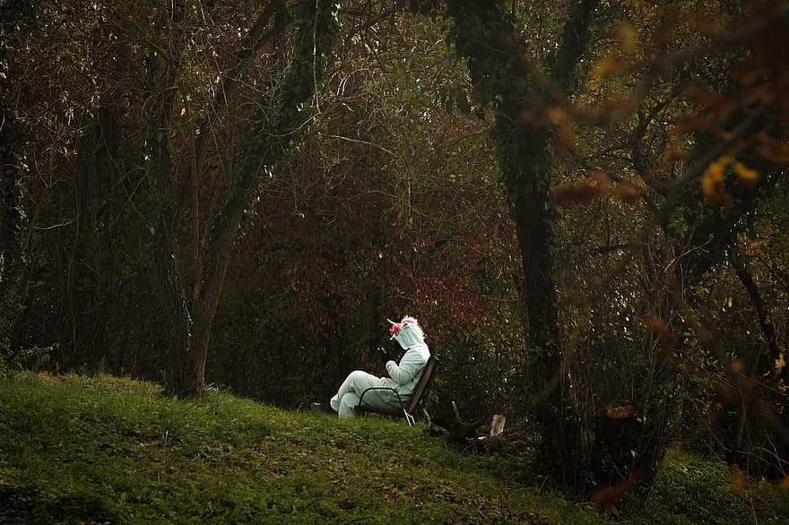 doğa, orman, tek boynuzlu at, yalnız, oturma, kostüm, sonbahar, erkekler, ağaç, KADIN, bir kişi
