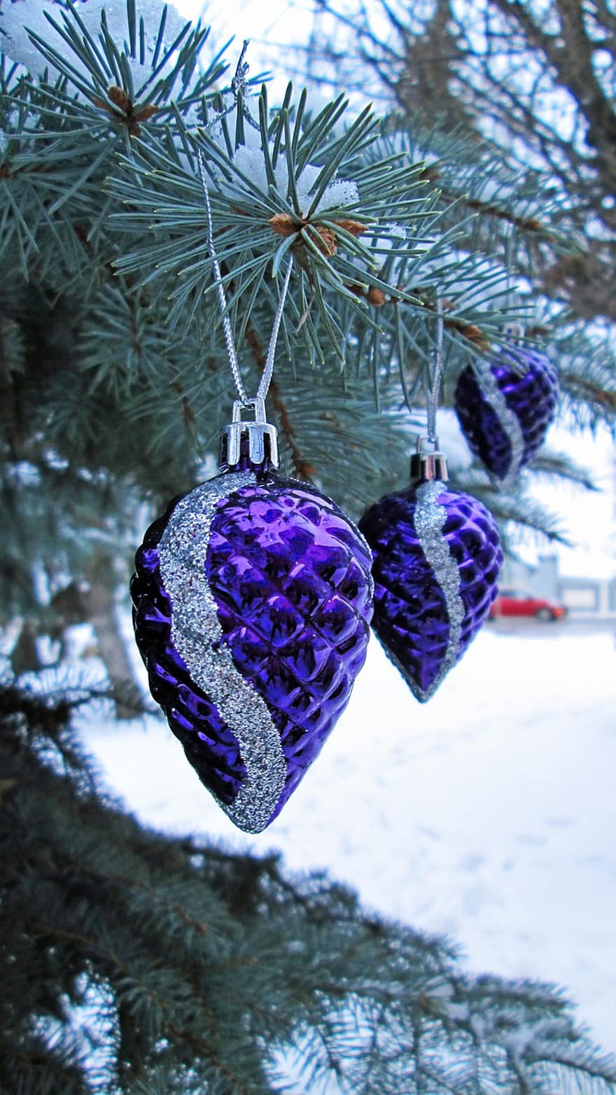 Christmas Tree, Christmas Baubles, Snow, Winter, Christmas, Christmas Ornaments, Christmas Decoration, Christmas Decor, Ornaments, Baubles, Decoration