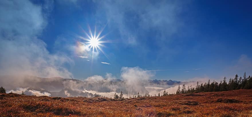 ομίχλη, Άλπεις, βουνά, ορεινό τοπίο, Ελβετία