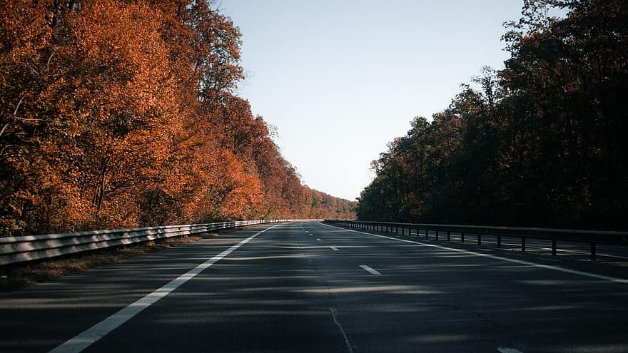 Αυτοκινητόδρομος, δρόμος, τρόπος, δάσος, δέντρα, Ευρώπη, πτώση, φθινόπωρο