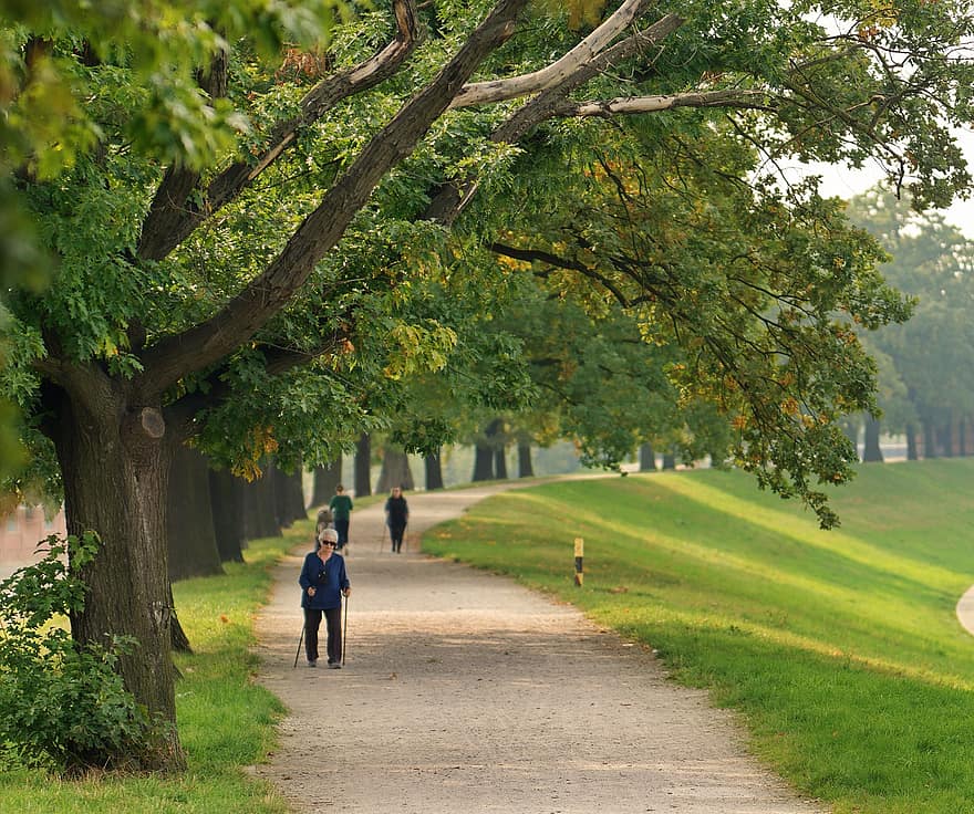 People, Pathway, Walking, Trees, Park, Path, Trail, Old, Persons, Riverbanks, Nature