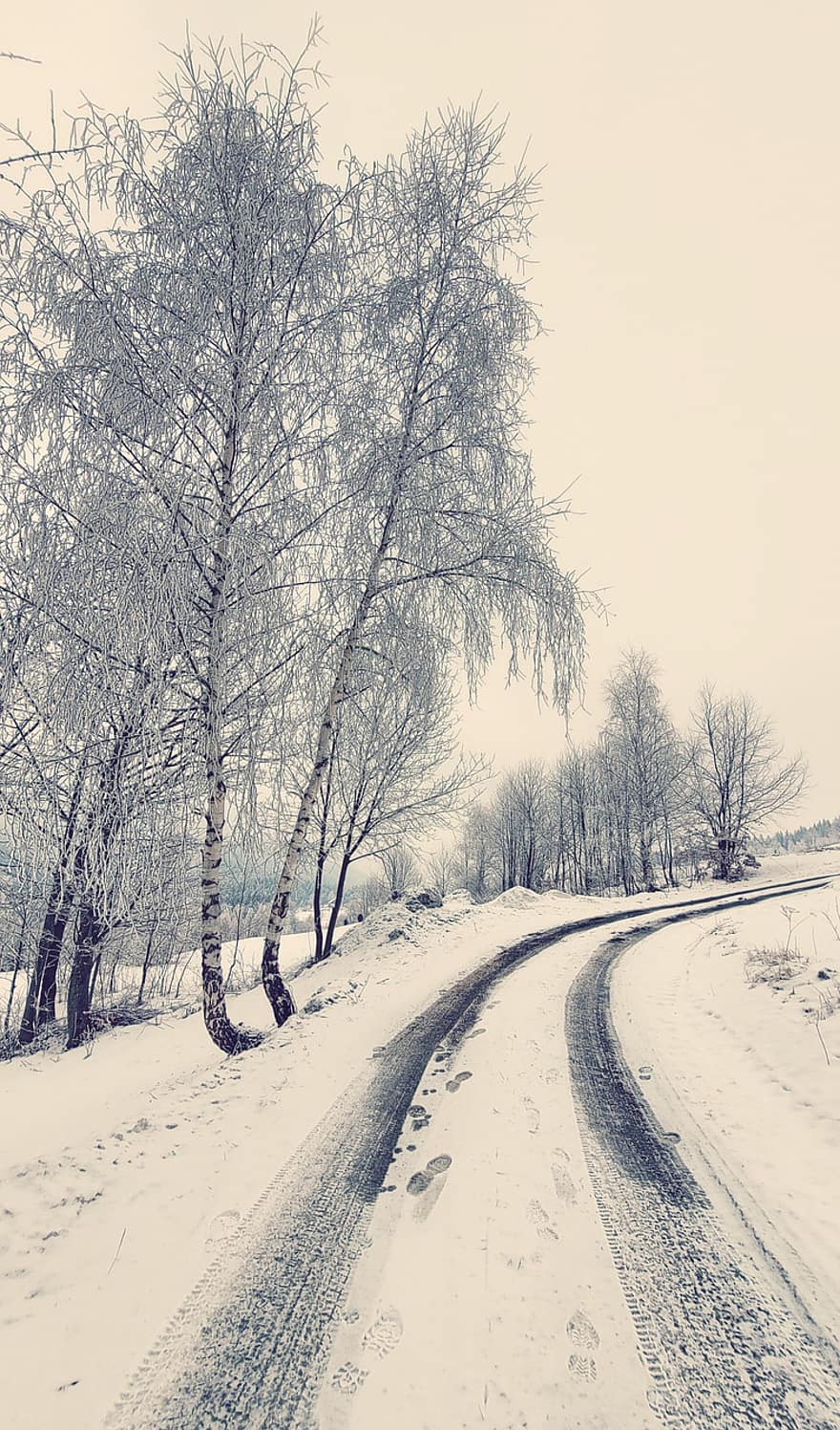 väg, vinter-, natur, säsong, utomhus, snö, sätt