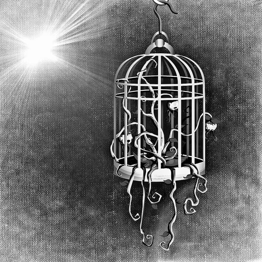 Bird Cage, Cage, Plant, Flowers, Nature