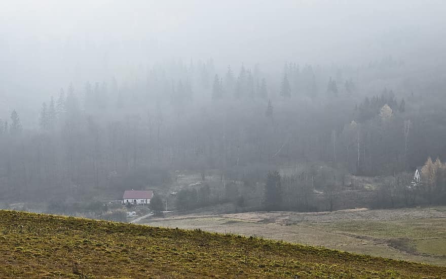 naturaleza, niebla, al aire libre, pueblo, paisaje, bosque, escena rural, montaña, árbol, otoño, granja