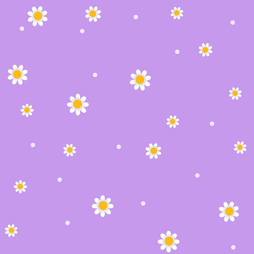 Spring, Flowers, Daisy, Design, Drawing, Background, Decoration