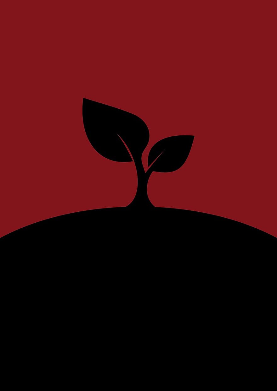 plantar, Última Planta, vermelho, natureza, último, natural, folha, seco, flora, ano, textura