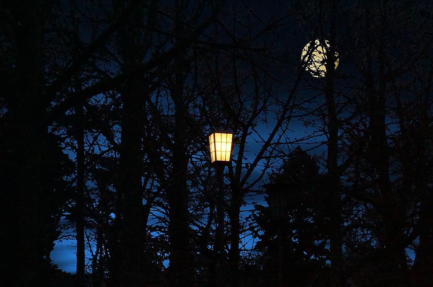 lys, nat, lanterne, om natten, lampe, gadelampe, mørk