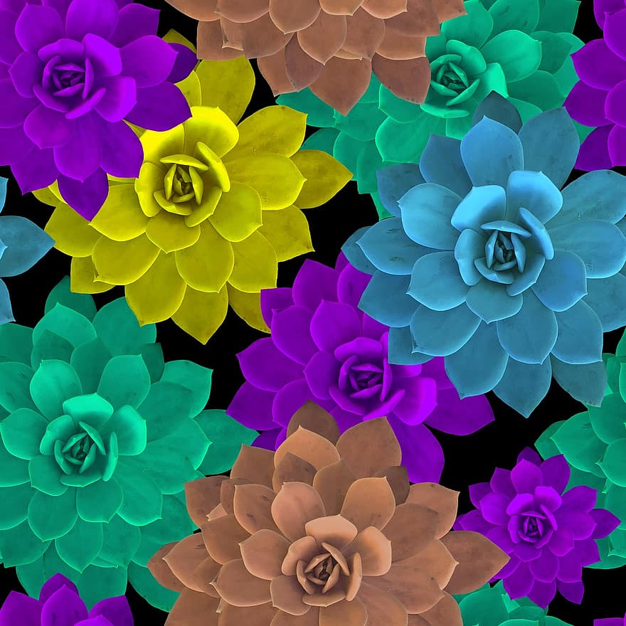Mandala, Design, Texture, Picture, Colages, Background, Color, Reason, Purple, Fractal, Geometric