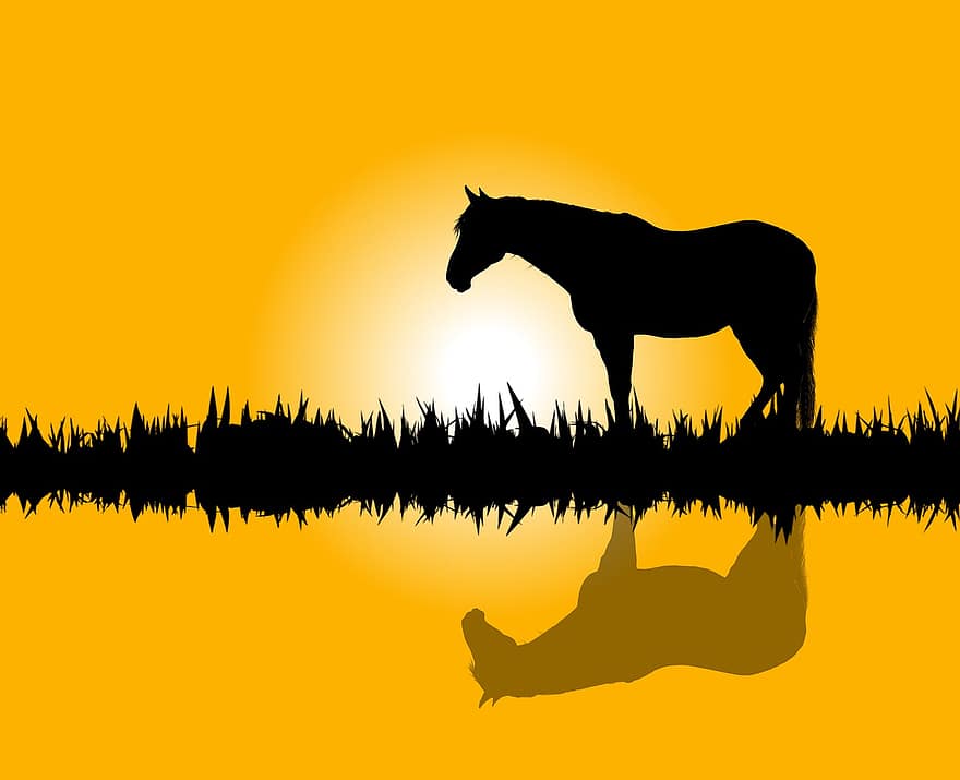 cavalo, panorama, por do sol, sombra, animal, grama, reflexão