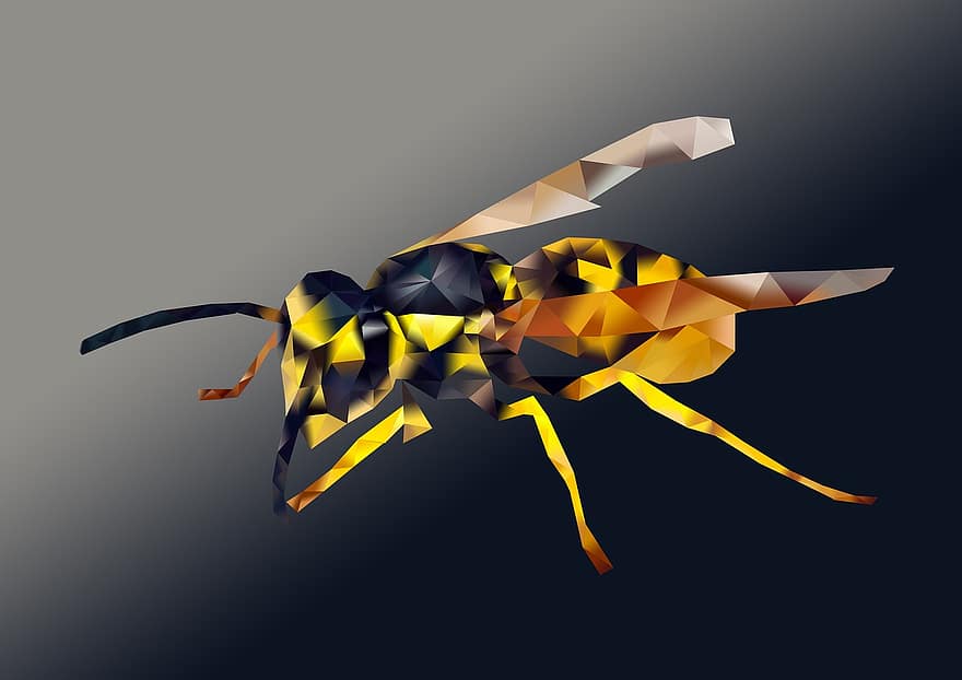 έντομο, Tweevleugeligen, φύση, ζωικό βασίλειο, σφήκα, αφηρημένη, πολύγωνο