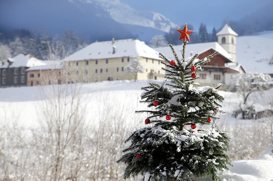 冬、雪、クリスマス、山、シーズン、木、自然、エントレモント、キリスト教、建築、文化