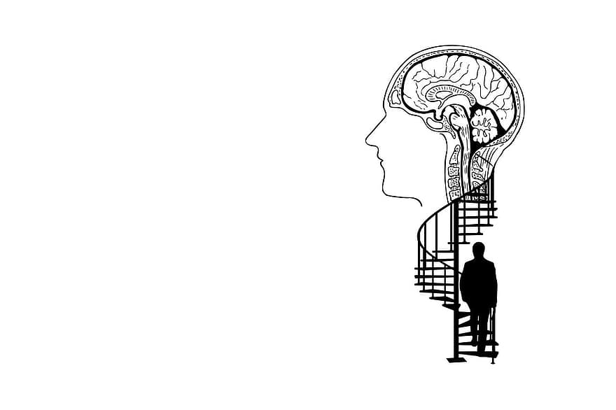 뇌, 머리, 실루엣, 계단, 나선형 계단, 남자, 차례로, 오르기