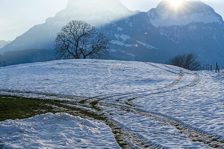 планини, зима, сняг, път, дървета, слънце, снежна преспа, студ, скреж, morschach, Швейцария
