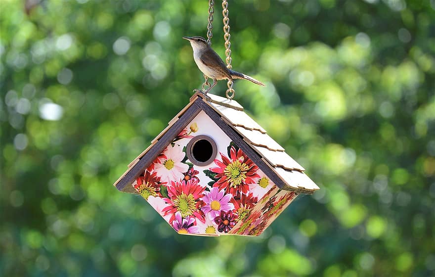 casa d'aus, ocell, jardí, primavera, naturalesa, niu, floral