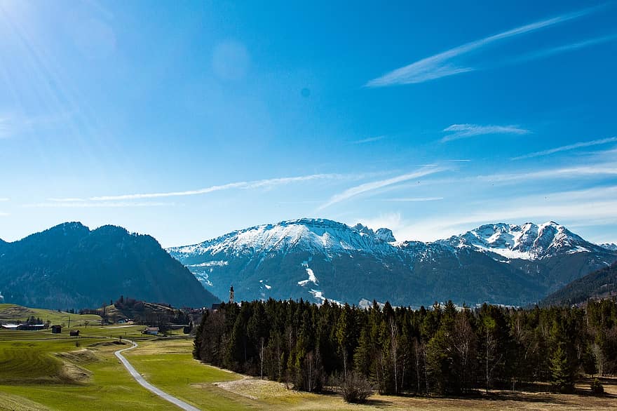 Alpy, hory, stromy, les, jehličnany, jehličnatý, jehličnatého lesa, vysokohorský, pohoří, allgäu, turistika
