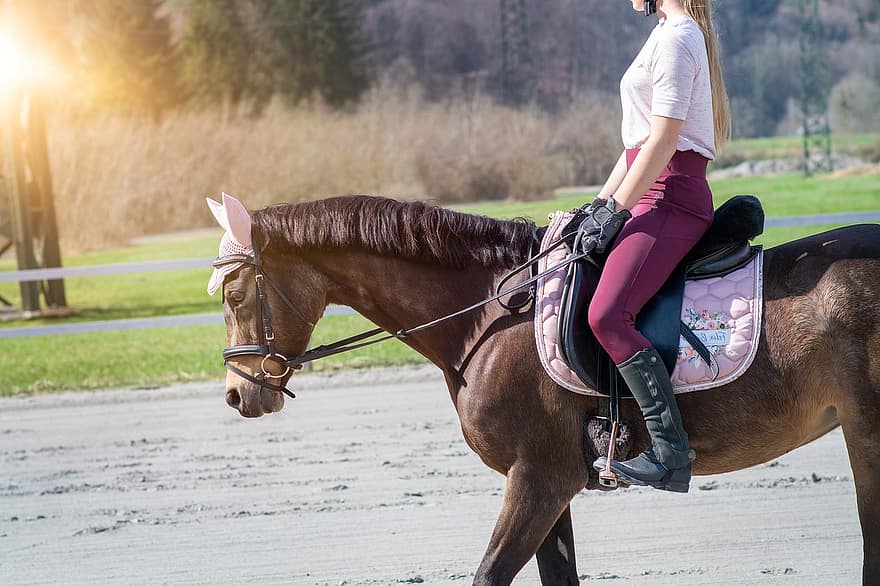 Horseback Riding, Horse, Girl, Saddle, Bridle, Pony, Saddle Horse, Riding Pony, Brown Horse, Animal, Equine
