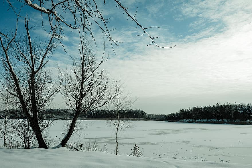 sjö, frysta, snö, skog, träd, vinter-, kall, frost, is, frusen sjö, landskap