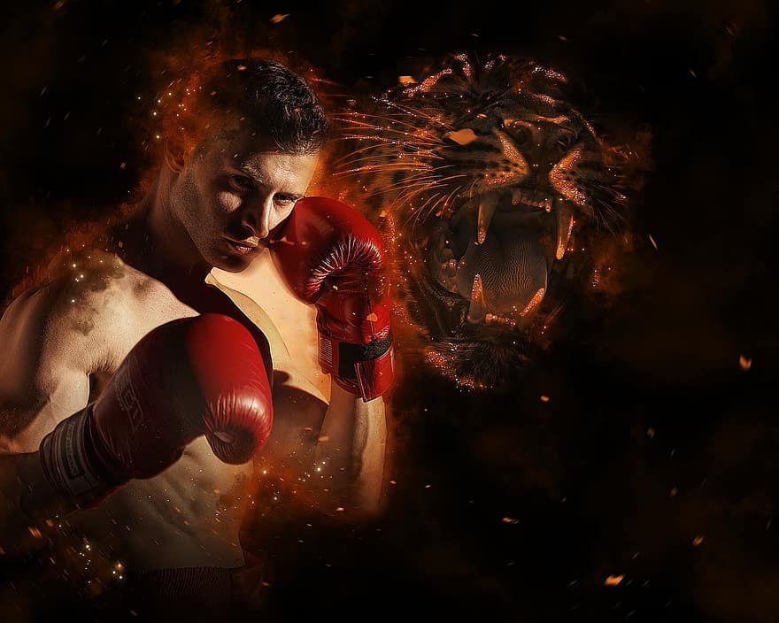 boksen, bokser, sport, kickboksen, atleet, mannen, een persoon, sterkte, volwassen, agressie, spieropbouw