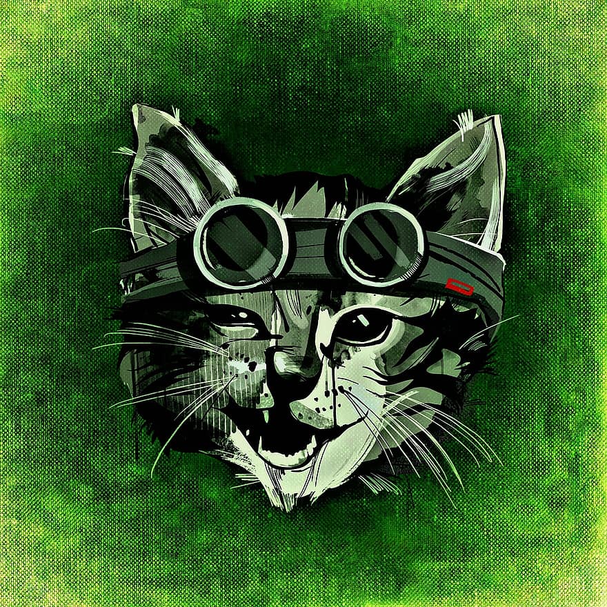 katt, vill, kul, abstrakt, morsom, briller, moro