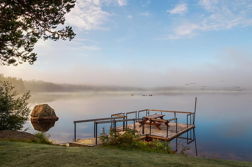 Швеция, дърво, приключение, есен, красота, птица, спокоен, риболов, мъгла, гора, мъглив