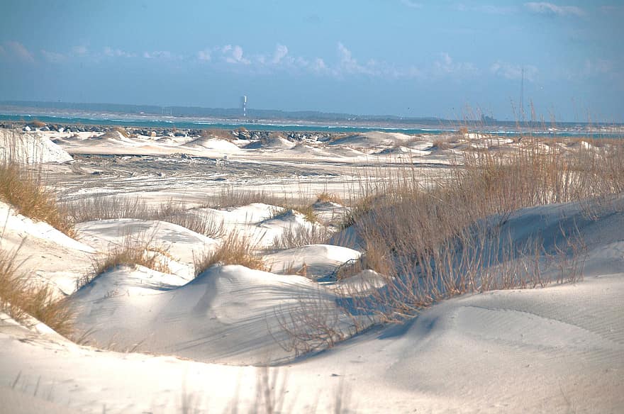 ビーチ、砂丘、海岸、砂、白い砂、草、岸、自然