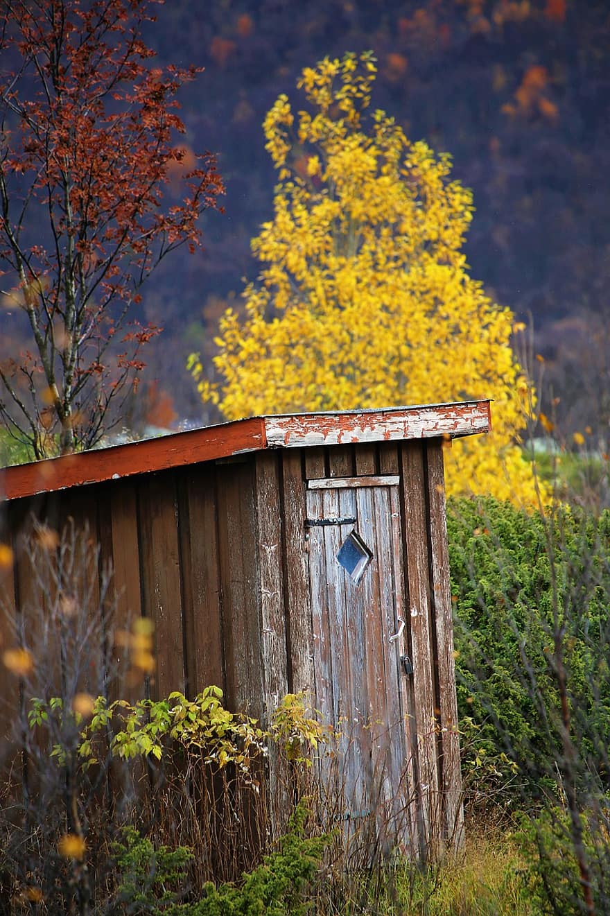 Cottage, rurale, autunno, natura, Casa, costruzione, legna, scena rurale, albero, giallo, foglia